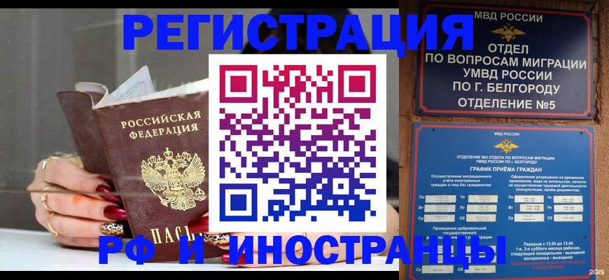 прописка в Волосово
